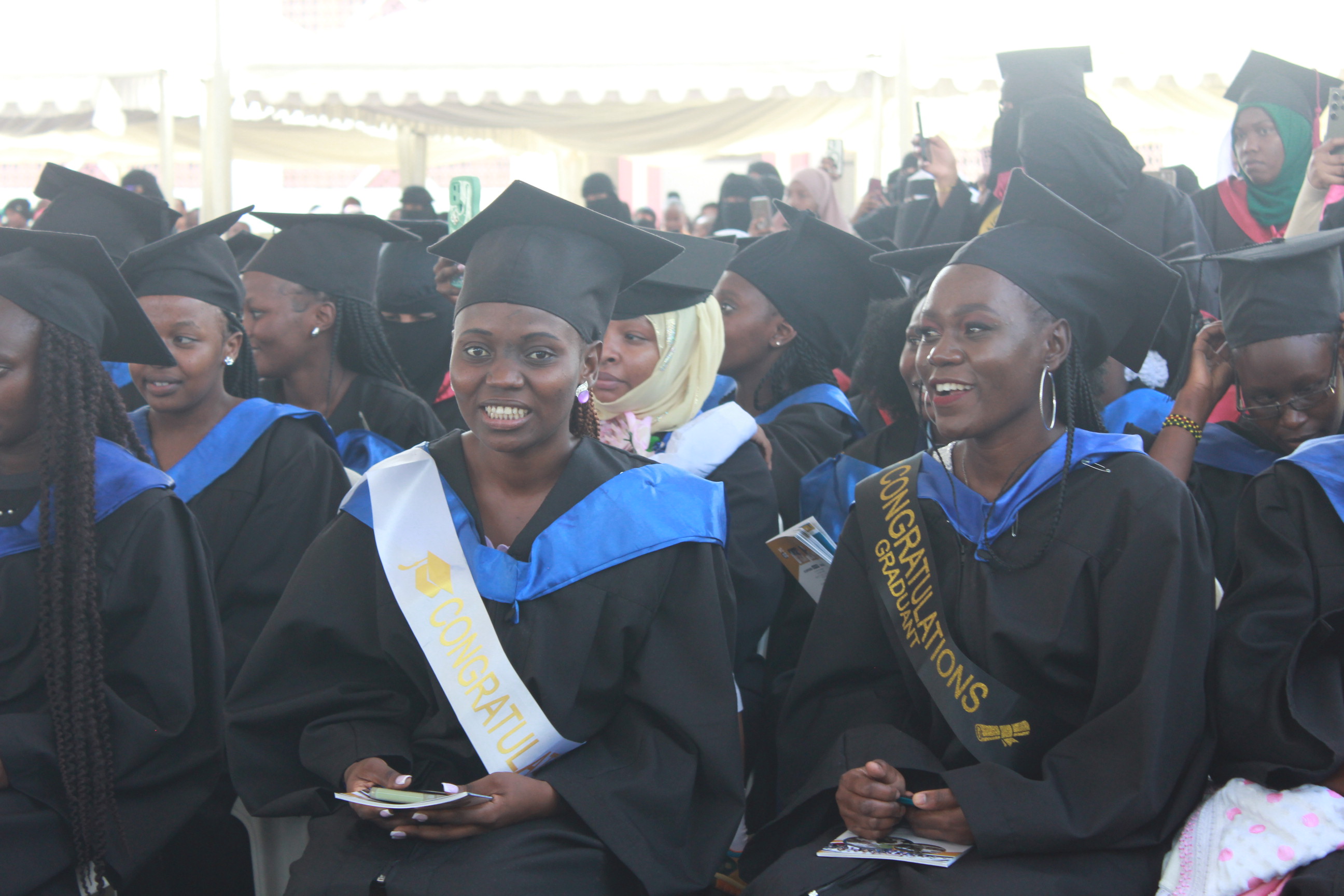 Bachelor of Business Management programme